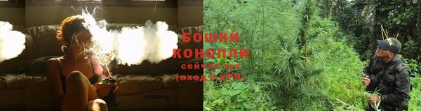гашиш Белокуриха